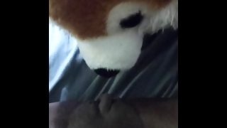 Teddy Bear licks my pussy😏 Throbbing Clit 🥵💋