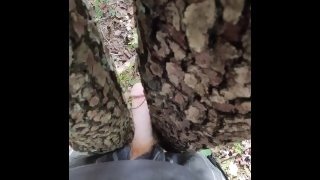 Sex with tree pussy