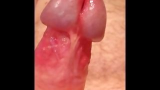 Uncut cock goes from soft to hard
