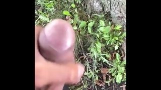 Stroking my dick in the forest preserve