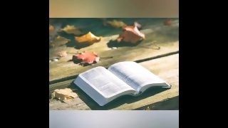 Numbers 23-25 KJV (Full Bible Read Through Video  #34)
