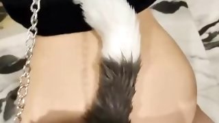 kitty tail