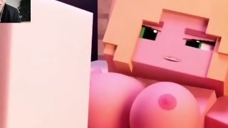 Minecraft Porn Animation Compilation Scenes Uncensored Hardcore Sex