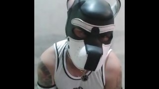 submissive bomdage puppy play dog sexy
