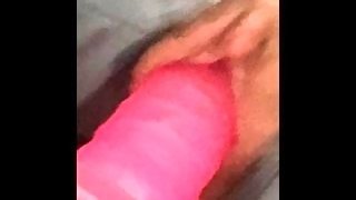 Pink Toy Tease