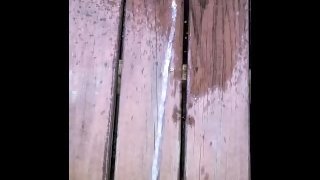 Pissing On The Deck 《4k》