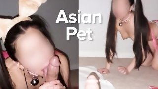 Asian pet play blowjob training