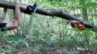 Ejaculation dans un arbre de la forêt