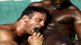 Muscular Gays Hot Poolside Interracial Porn Scene