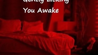 Gently Licking You Awake