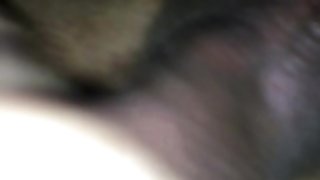ebony sucking dick and sticking her face in her ass and enjoying
