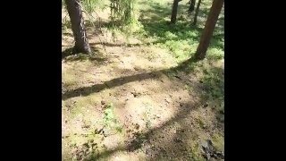 Quick fuck in the forest